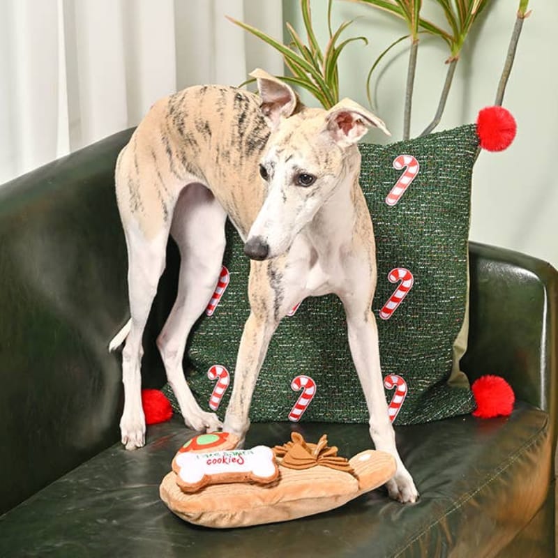 Christmas plush dog toy set with treat-shaped mat and candy-cane accents