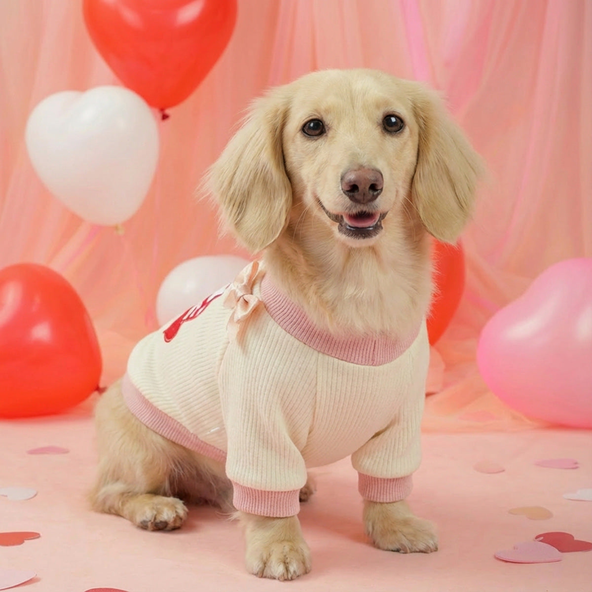 {{product_title}} - Cookies Wagging Friends Boutique