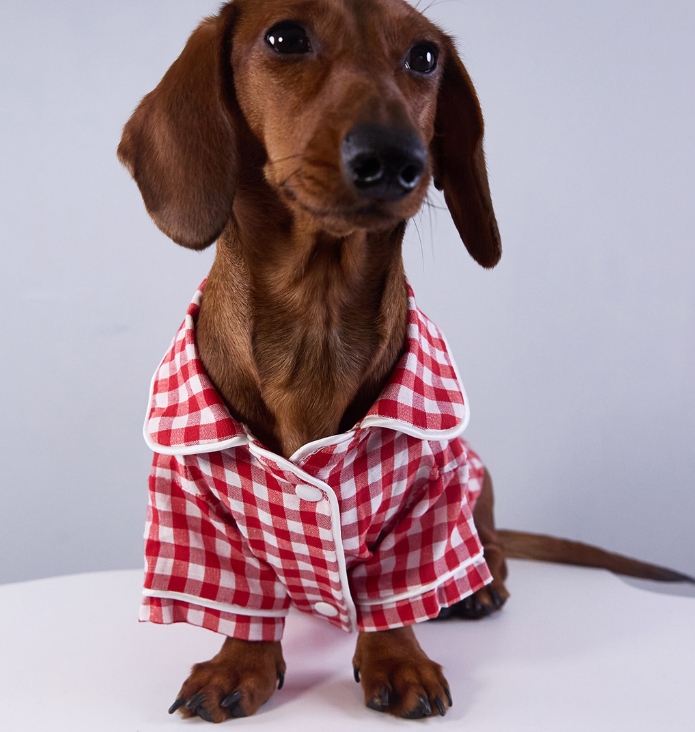 {{product_title}} - Cookies Wagging Friends Boutique