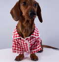 {{product_title}} - Cookies Wagging Friends Boutique