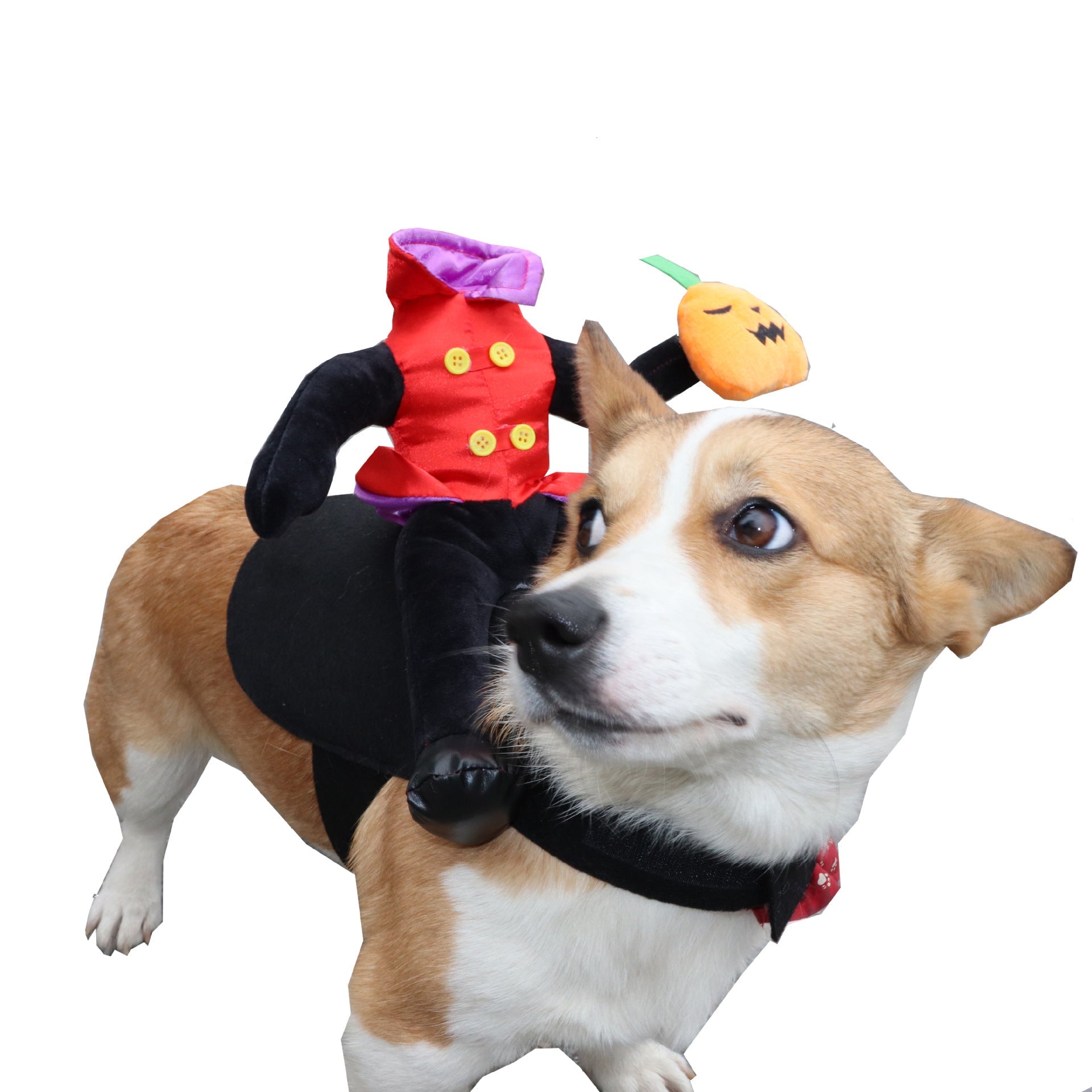 {{product_title}} - Cookies Wagging Friends Boutique