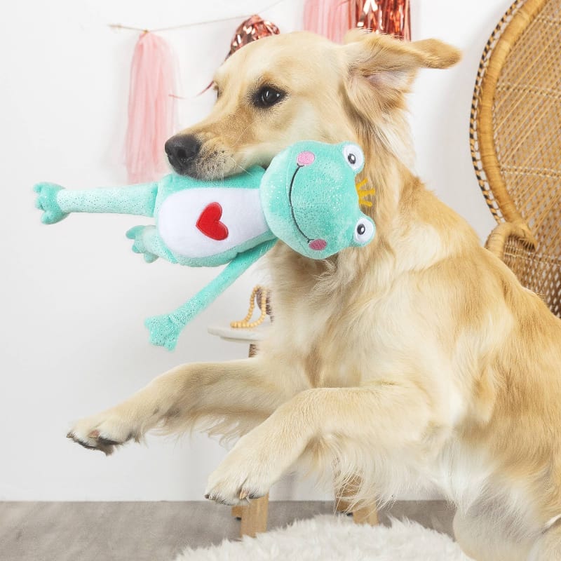 {{product_title}} - Cookies Wagging Friends Boutique