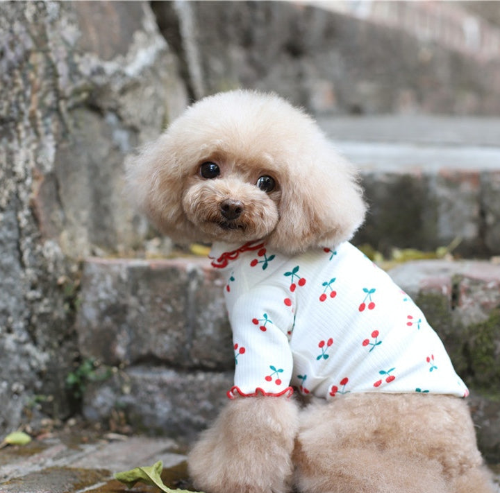 {{product_title}} - Cookies Wagging Friends Boutique