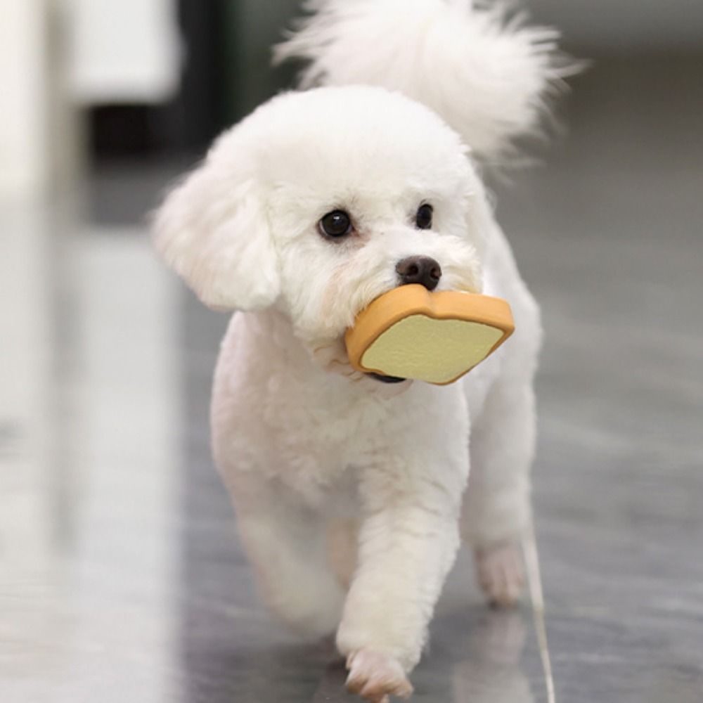 {{product_title}} - Cookies Wagging Friends Boutique