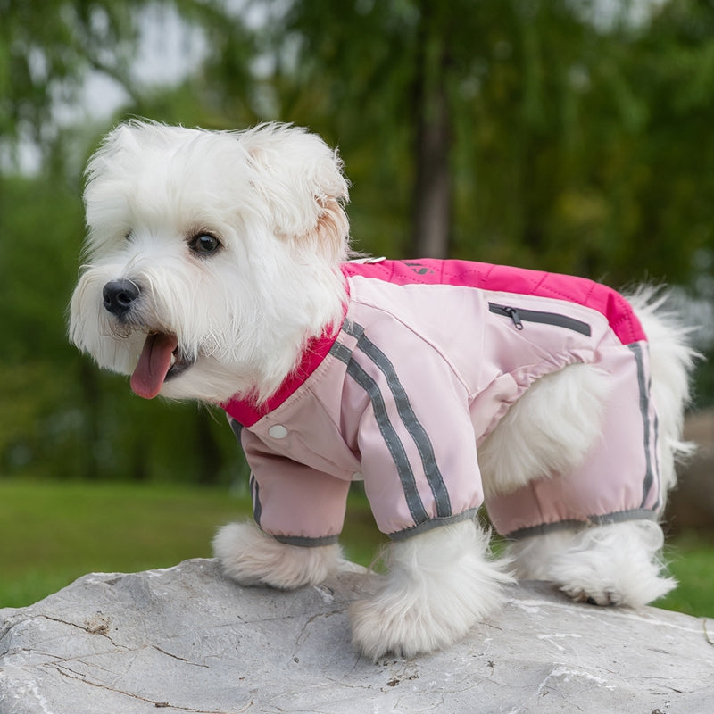 {{product_title}} - Cookies Wagging Friends Boutique