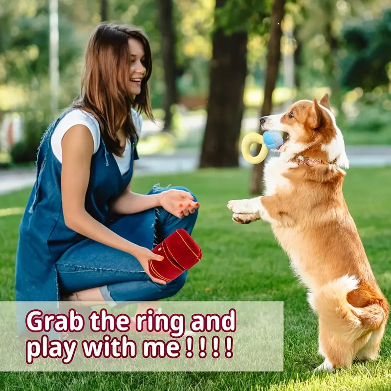 {{product_title}} - Cookies Wagging Friends Boutique