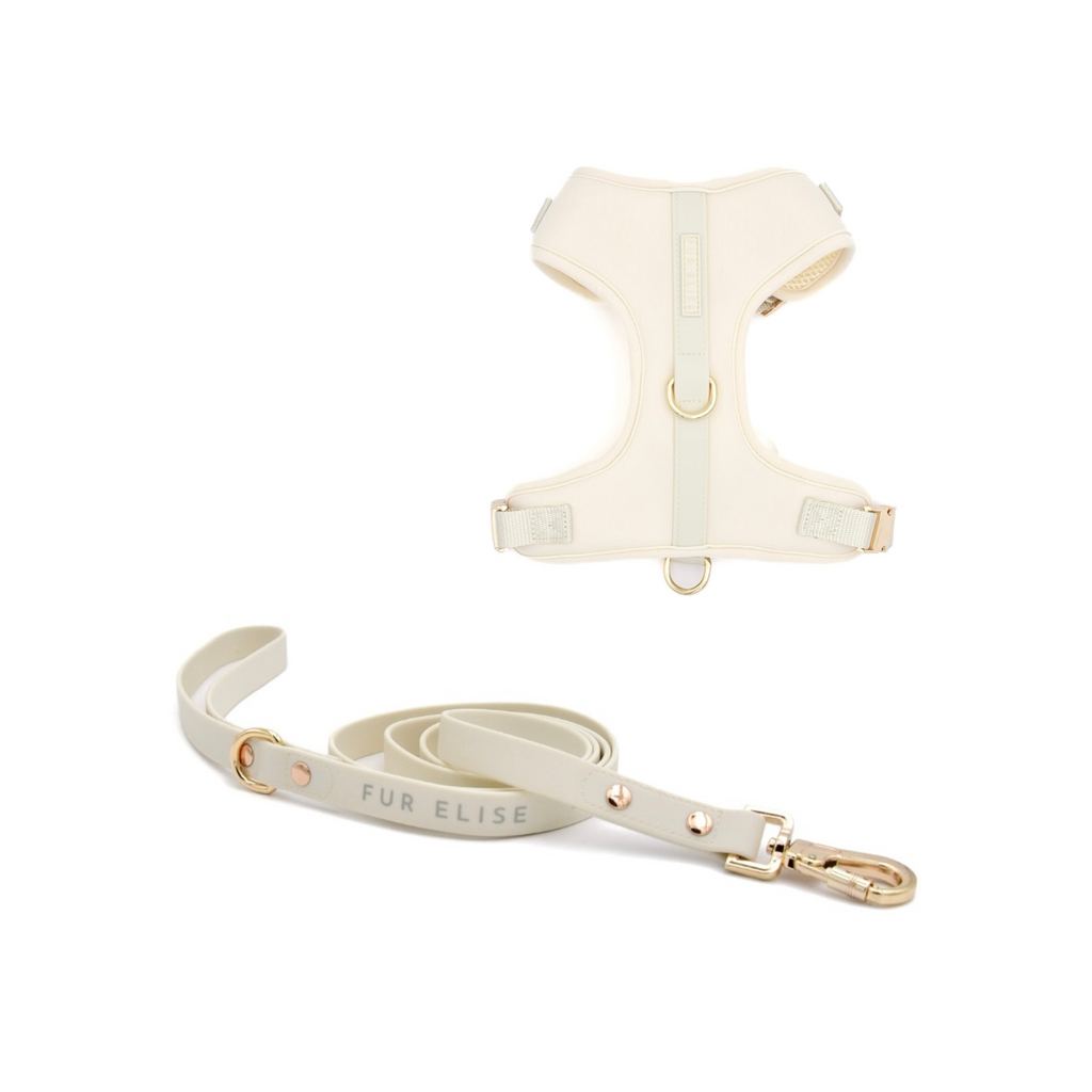 {{product_title}} - Cookies Wagging Friends Boutique
