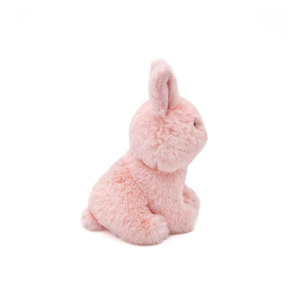 {{product_title}} - Cookies Wagging Friends Boutique