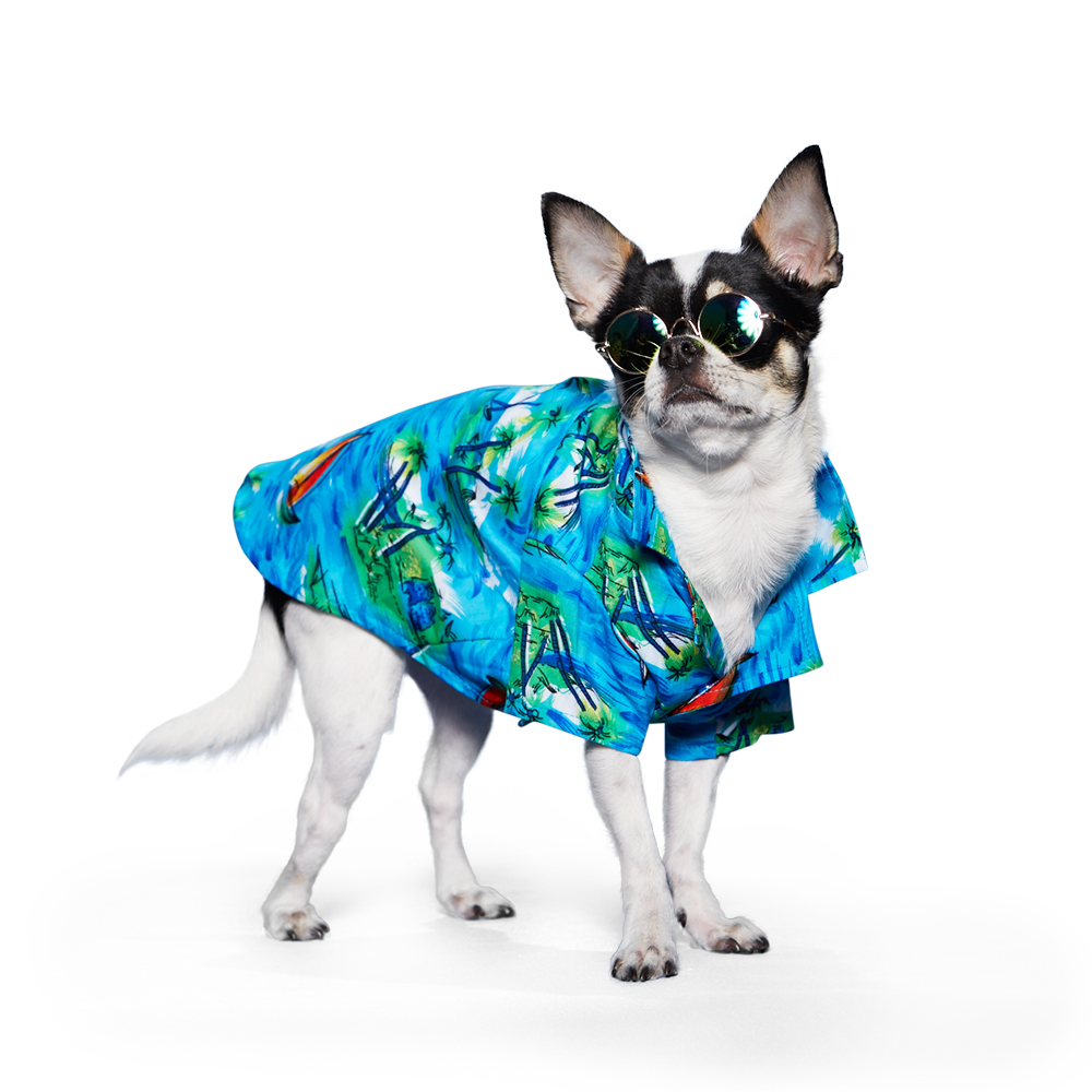 {{product_title}} - Cookies Wagging Friends Boutique