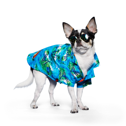 {{product_title}} - Cookies Wagging Friends Boutique