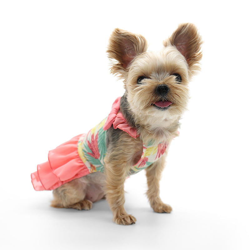 {{product_title}} - Cookies Wagging Friends Boutique