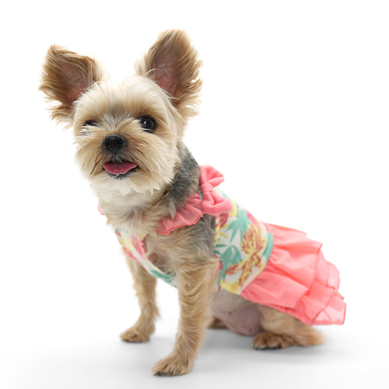 {{product_title}} - Cookies Wagging Friends Boutique