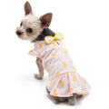{{product_title}} - Cookies Wagging Friends Boutique