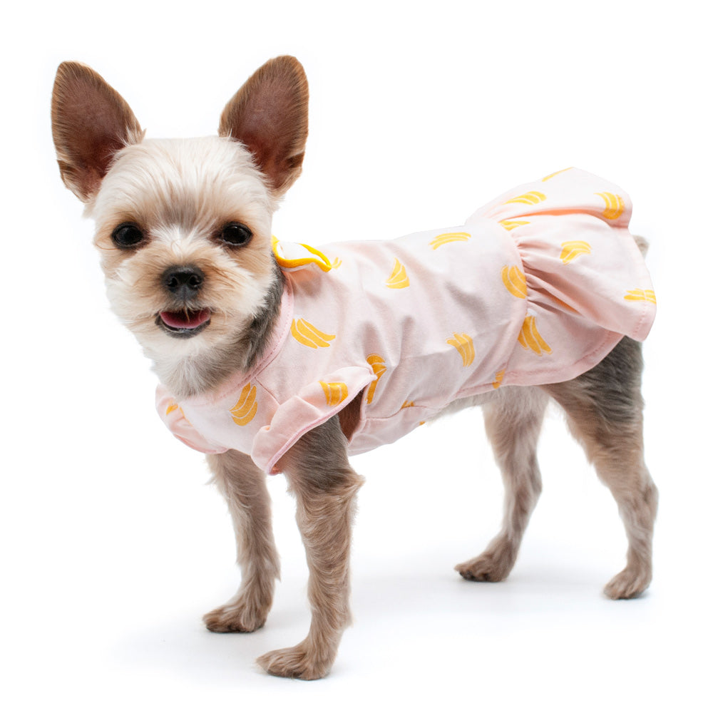 {{product_title}} - Cookies Wagging Friends Boutique