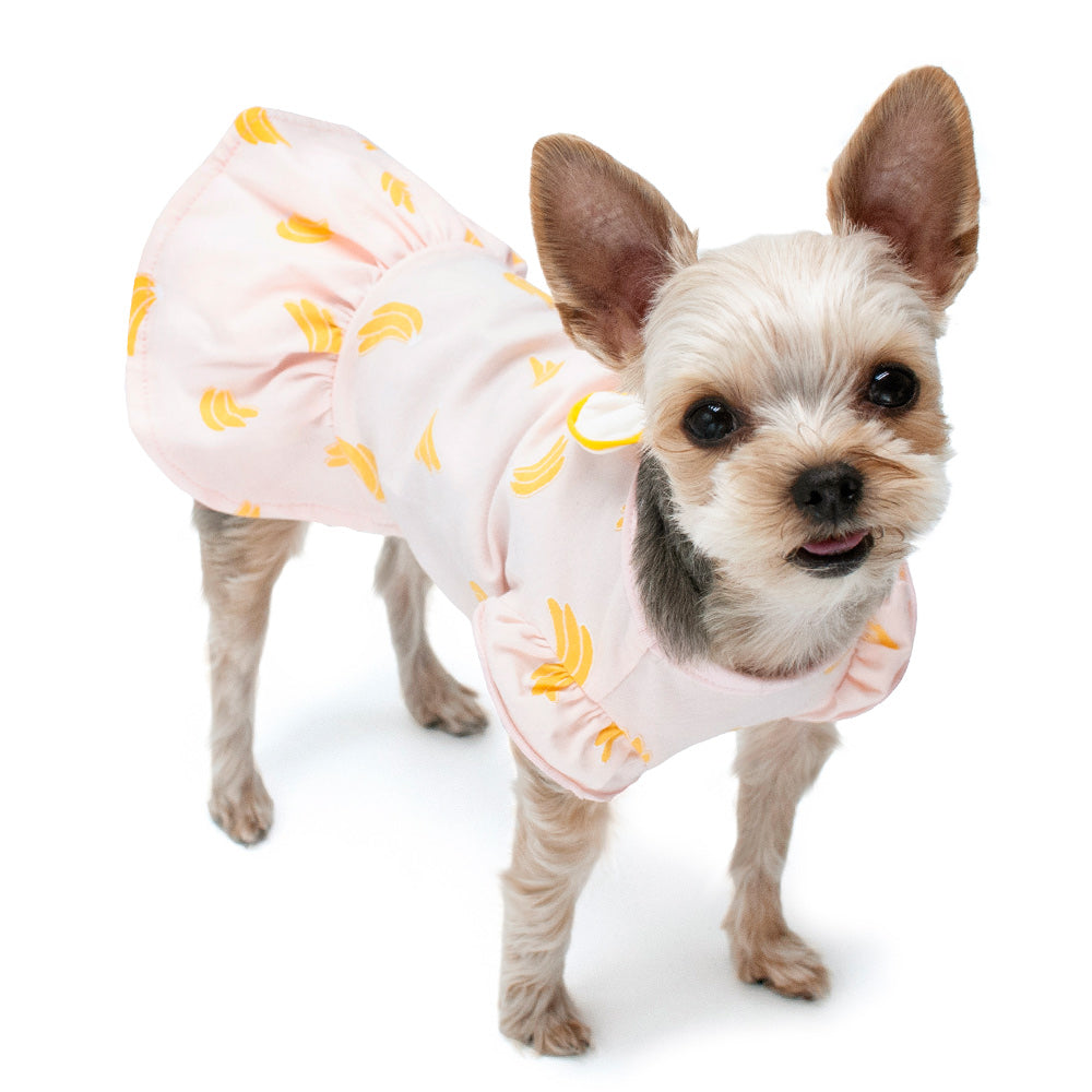 {{product_title}} - Cookies Wagging Friends Boutique