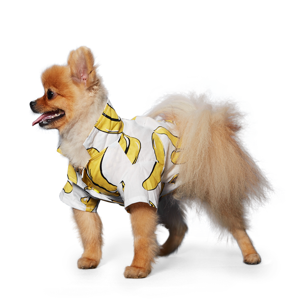 {{product_title}} - Cookies Wagging Friends Boutique