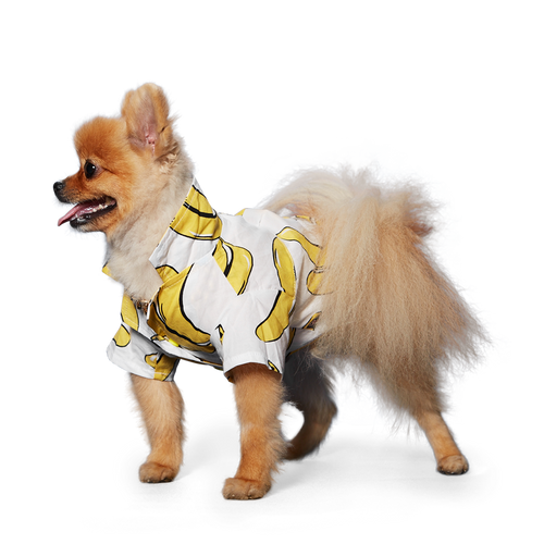 {{product_title}} - Cookies Wagging Friends Boutique