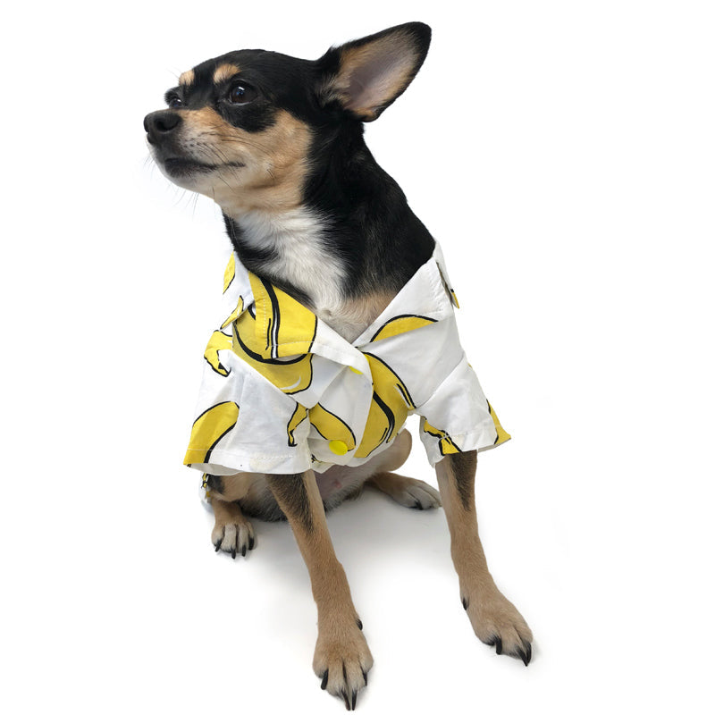 {{product_title}} - Cookies Wagging Friends Boutique