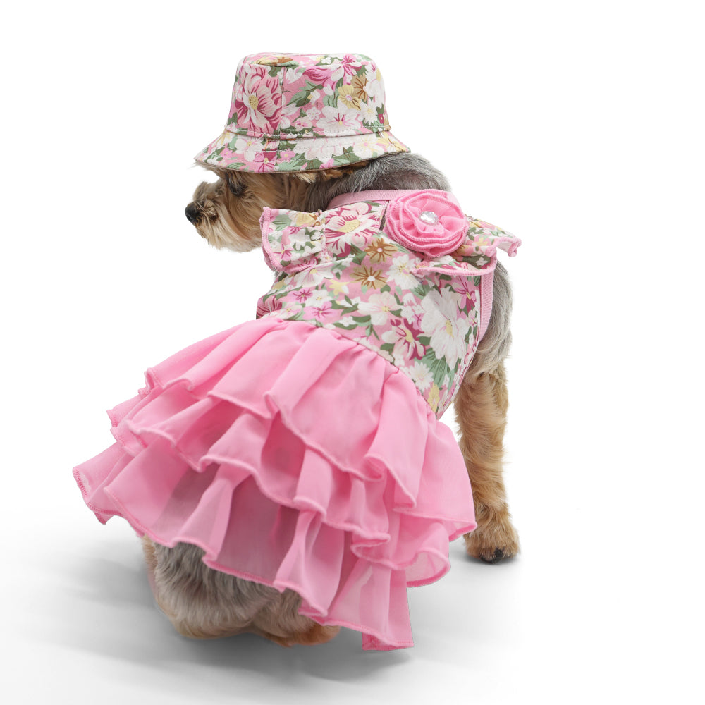 {{product_title}} - Cookies Wagging Friends Boutique