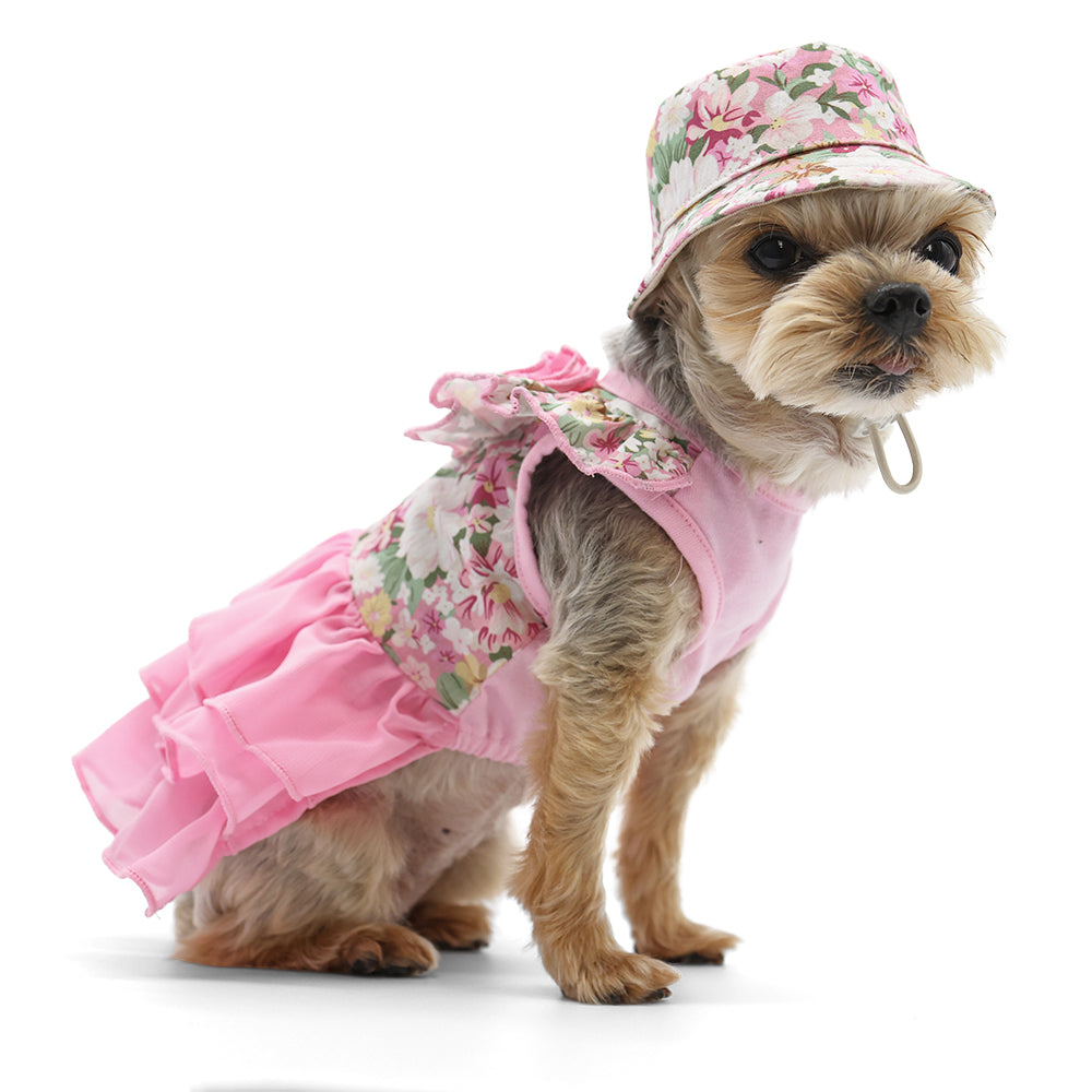 {{product_title}} - Cookies Wagging Friends Boutique