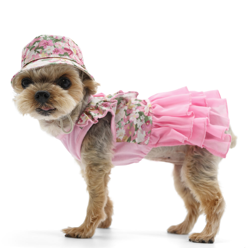 {{product_title}} - Cookies Wagging Friends Boutique