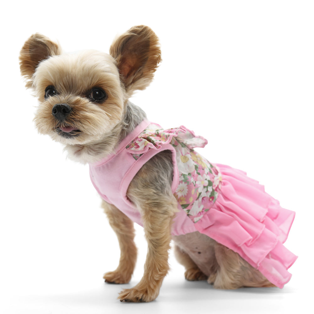 {{product_title}} - Cookies Wagging Friends Boutique