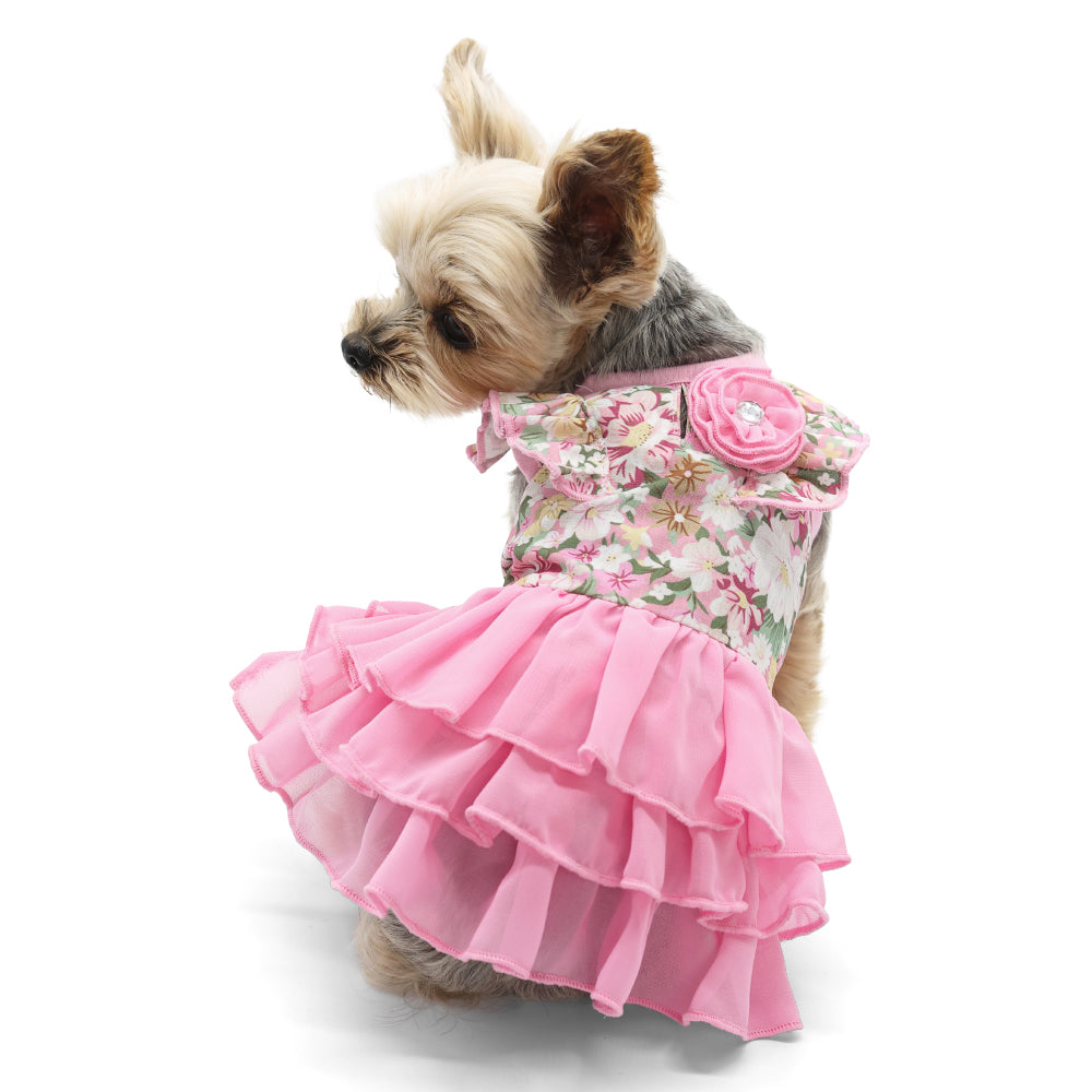 {{product_title}} - Cookies Wagging Friends Boutique