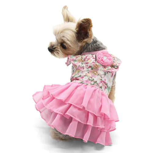 {{product_title}} - Cookies Wagging Friends Boutique
