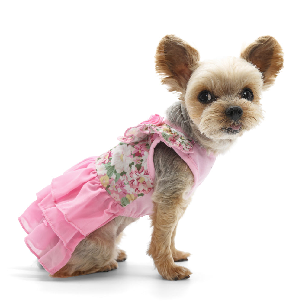 {{product_title}} - Cookies Wagging Friends Boutique