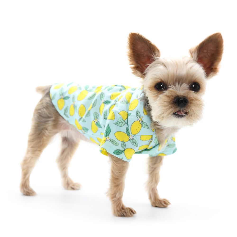 {{product_title}} - Cookies Wagging Friends Boutique