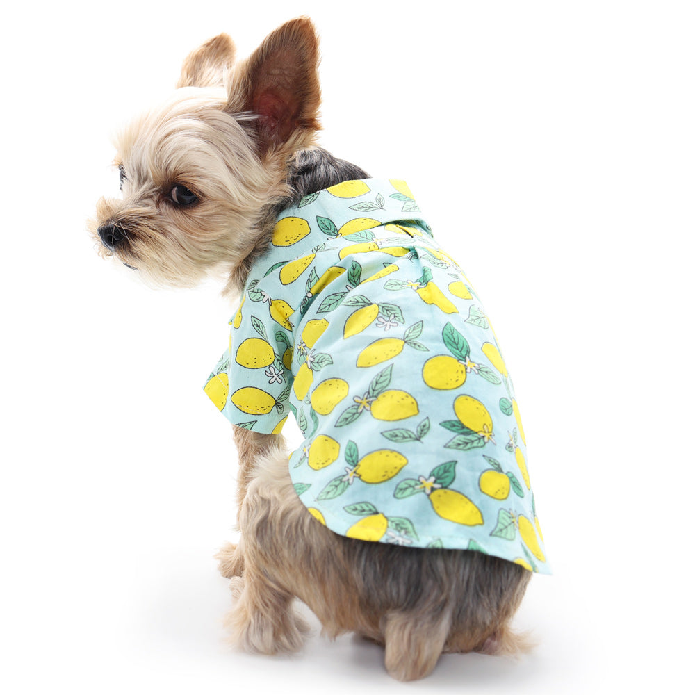 {{product_title}} - Cookies Wagging Friends Boutique