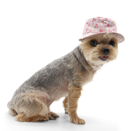 {{product_title}} - Cookies Wagging Friends Boutique