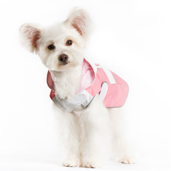 {{product_title}} - Cookies Wagging Friends Boutique