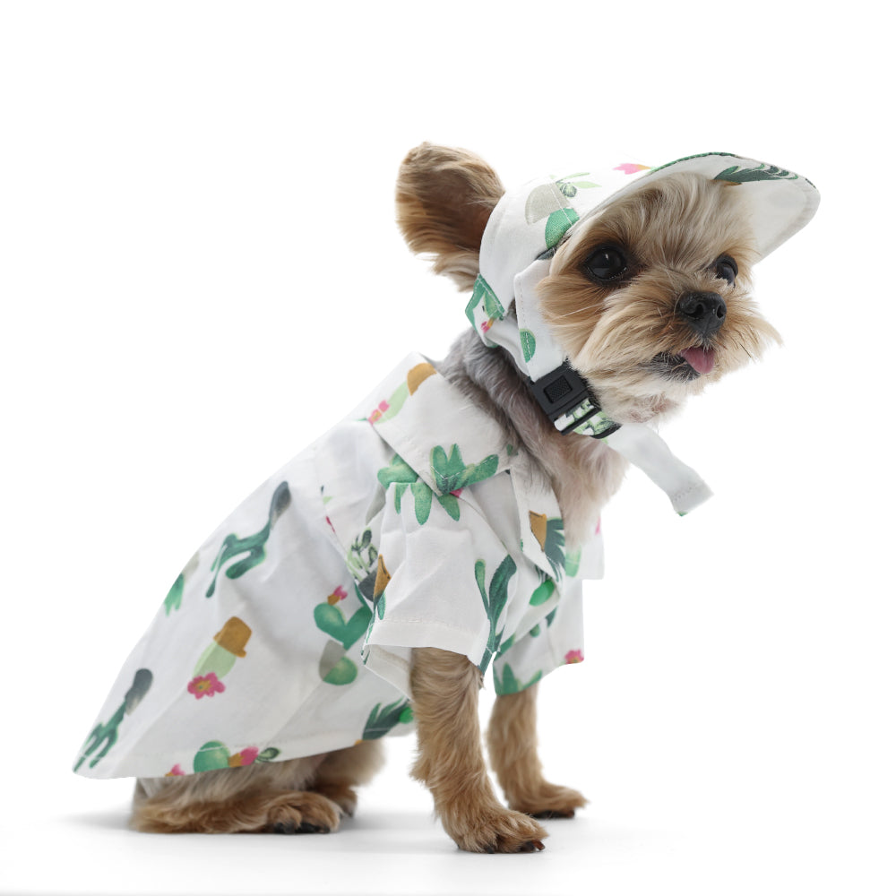 {{product_title}} - Cookies Wagging Friends Boutique