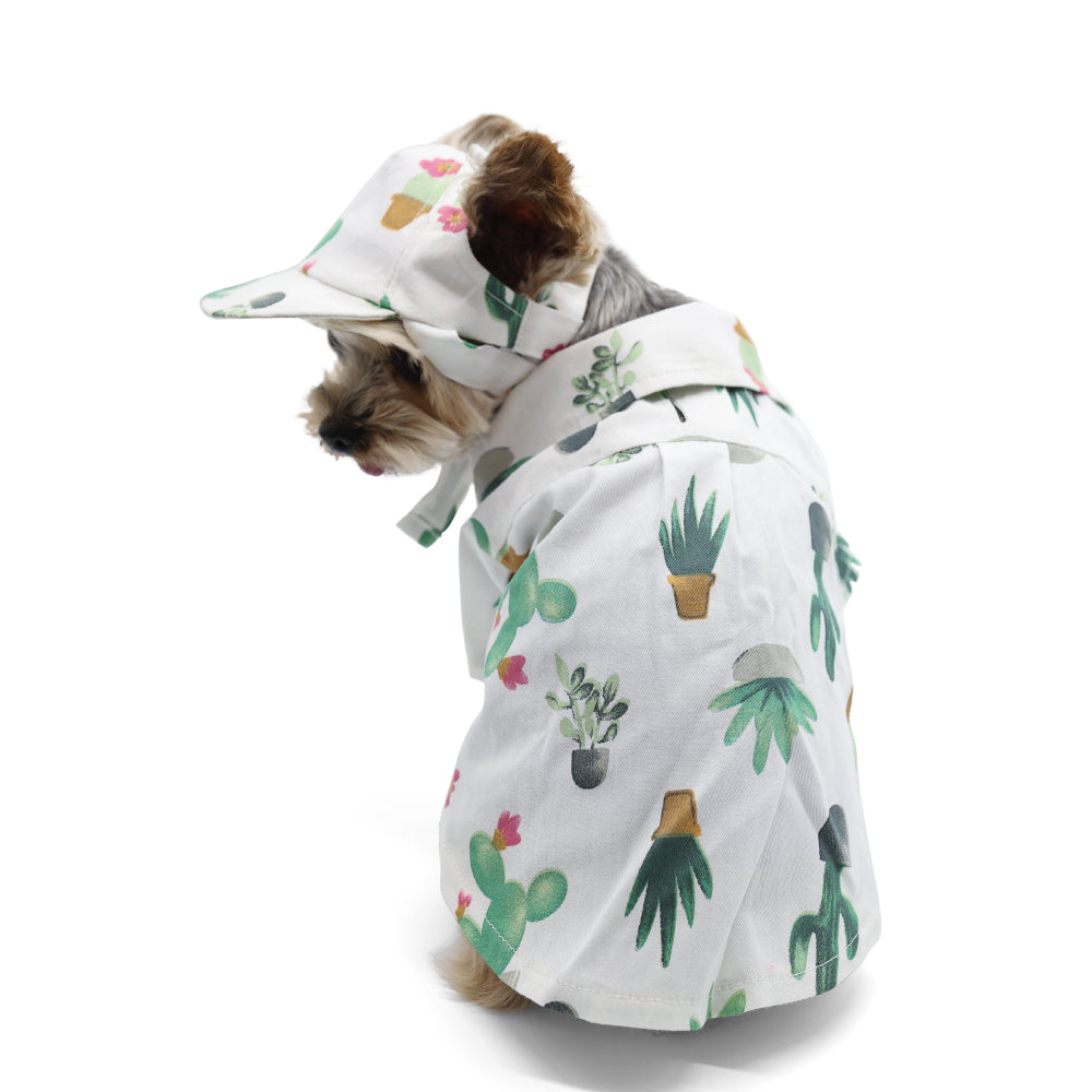 {{product_title}} - Cookies Wagging Friends Boutique