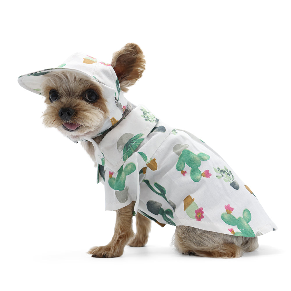 {{product_title}} - Cookies Wagging Friends Boutique