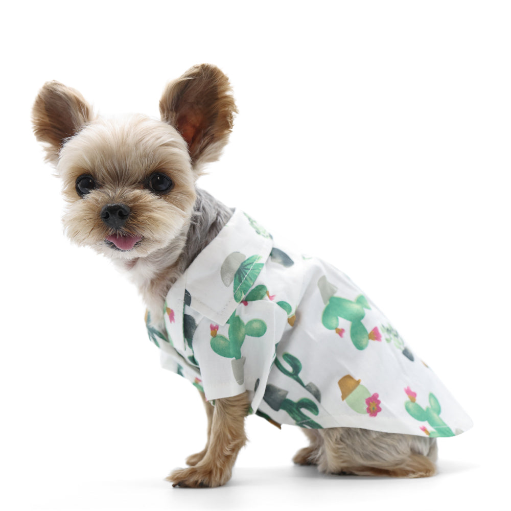 {{product_title}} - Cookies Wagging Friends Boutique
