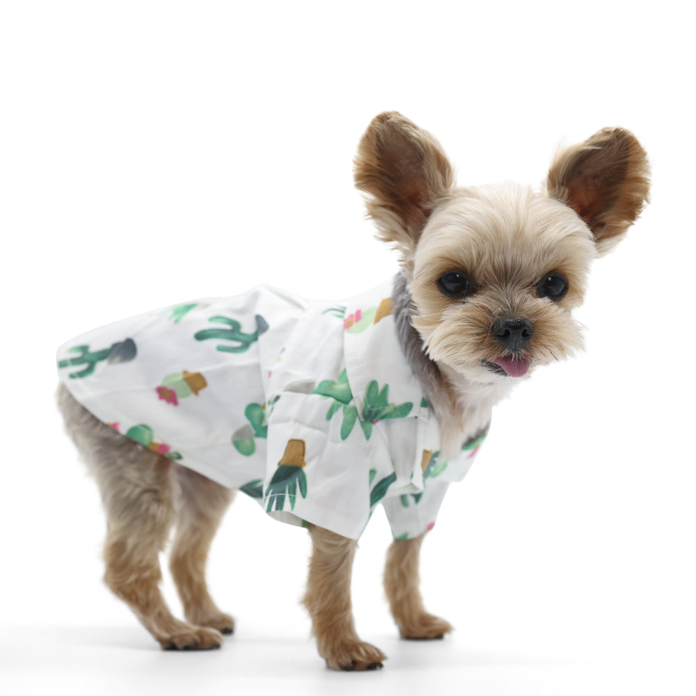 {{product_title}} - Cookies Wagging Friends Boutique