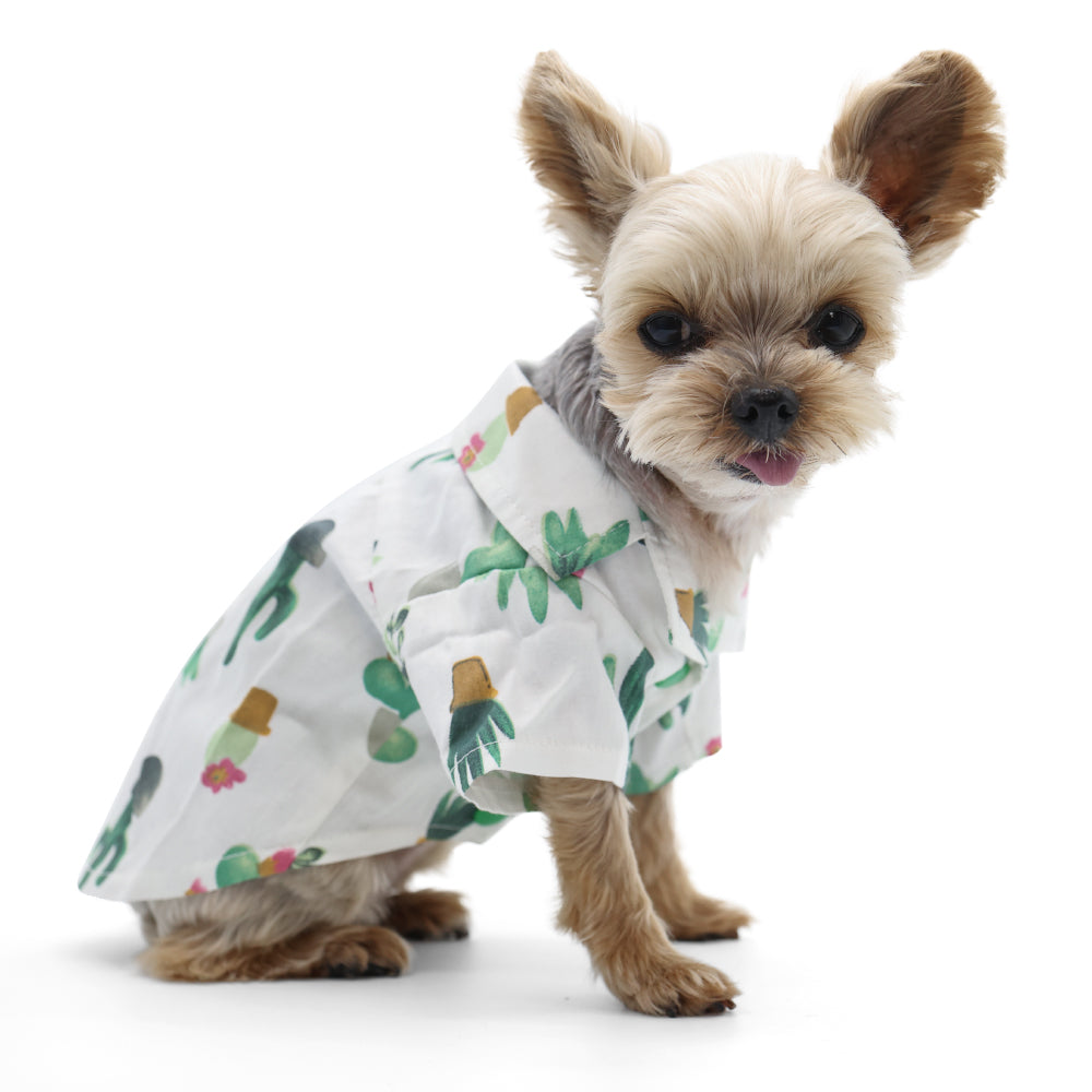 {{product_title}} - Cookies Wagging Friends Boutique