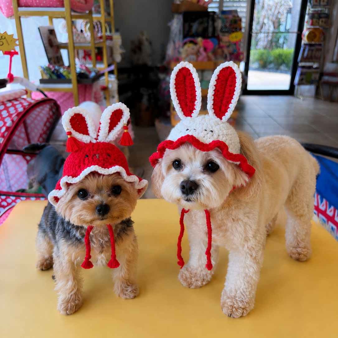 Handmade Crochet Bunny Ear Dog Hat – Cute Rabbit Bonnet for Small Dogs & Cats Easter Photo Costume
