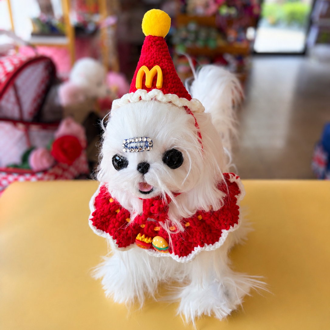Handmade Crochet Fast Food Pet Hat & Collar Set