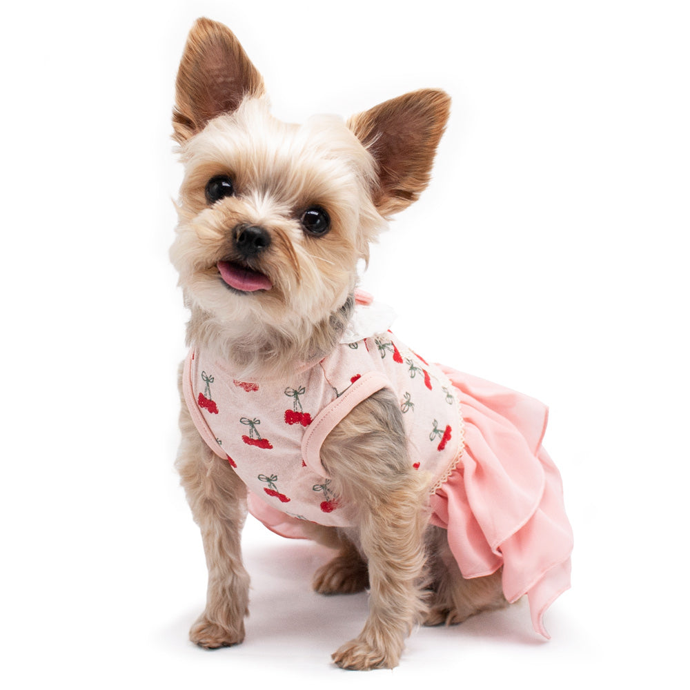 {{product_title}} - Cookies Wagging Friends Boutique