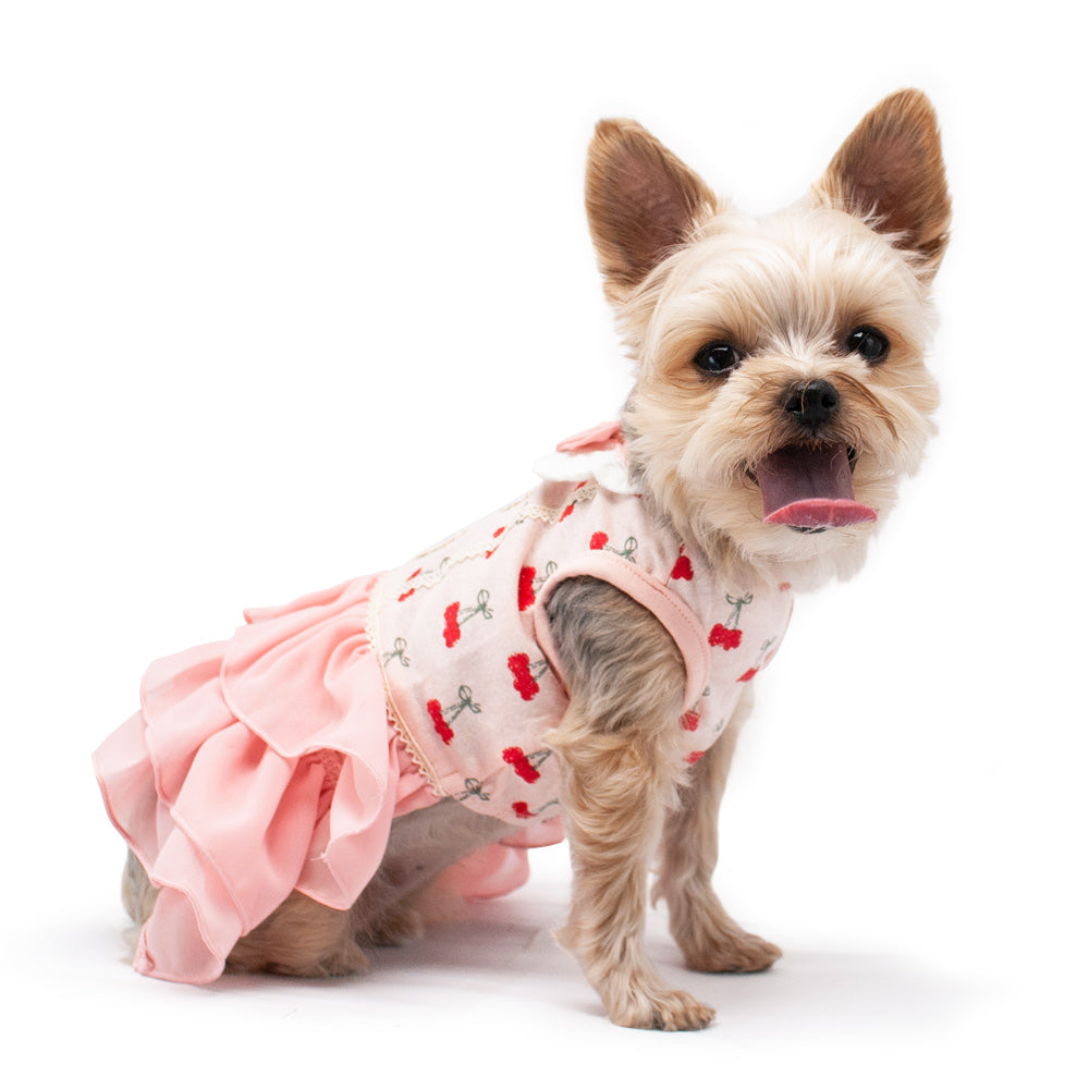 {{product_title}} - Cookies Wagging Friends Boutique