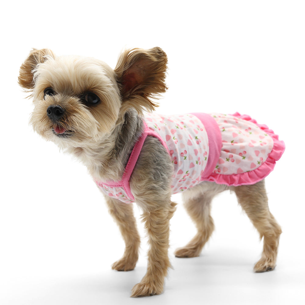 {{product_title}} - Cookies Wagging Friends Boutique