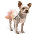 {{product_title}} - Cookies Wagging Friends Boutique