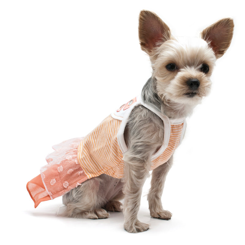 {{product_title}} - Cookies Wagging Friends Boutique