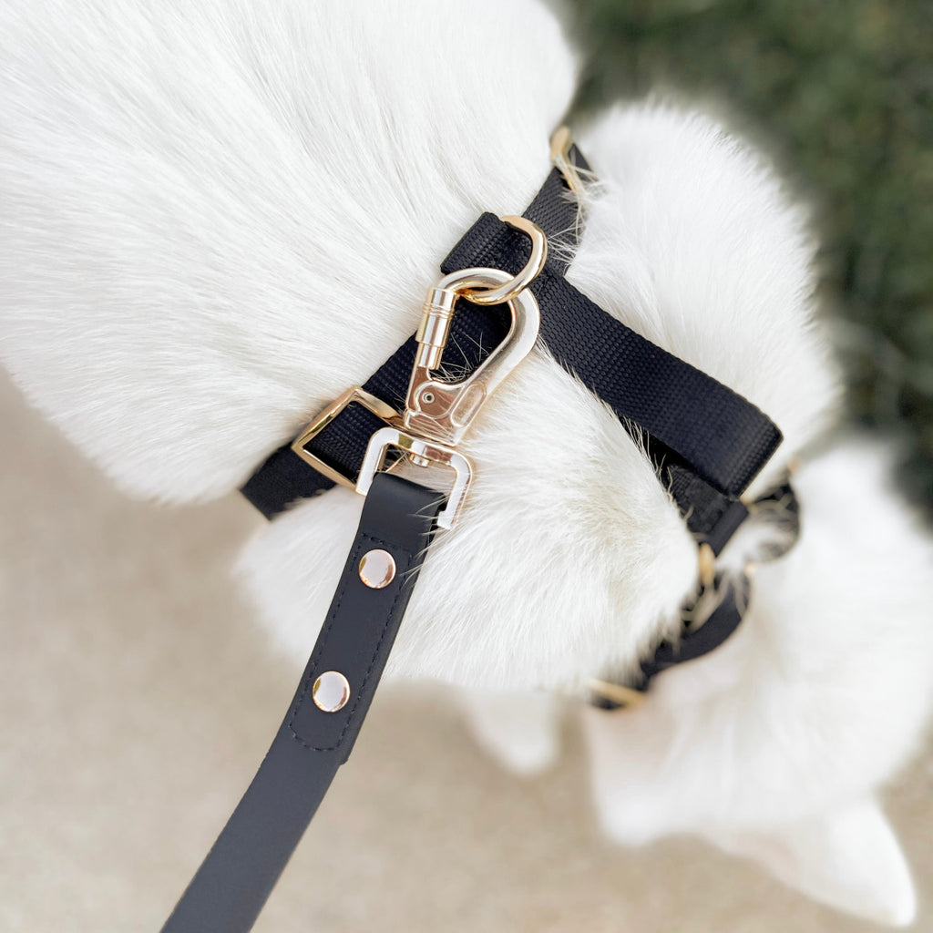 {{product_title}} - Cookies Wagging Friends Boutique