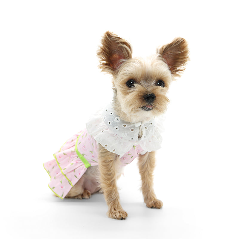 {{product_title}} - Cookies Wagging Friends Boutique