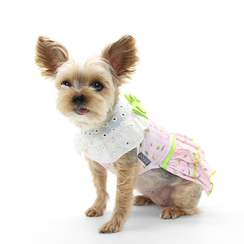 {{product_title}} - Cookies Wagging Friends Boutique