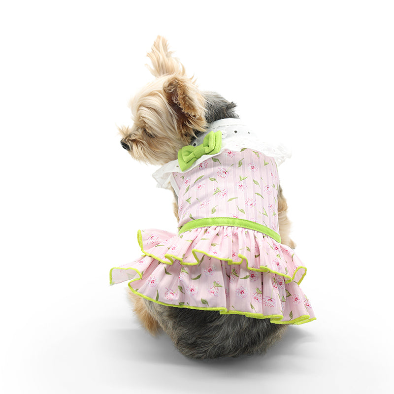 {{product_title}} - Cookies Wagging Friends Boutique
